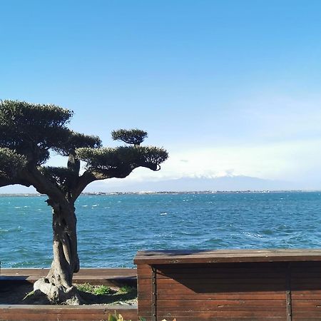 Appartement Cosy Sur La Presqu'Ile De Cap Coudalere Avec Piscine Ouverte Et Chauffee Le Barcarès Eksteriør bilde