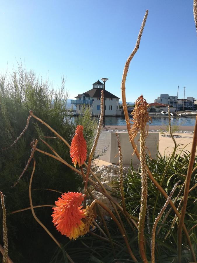 Appartement Cosy Sur La Presqu'Ile De Cap Coudalere Avec Piscine Ouverte Et Chauffee Le Barcarès Eksteriør bilde