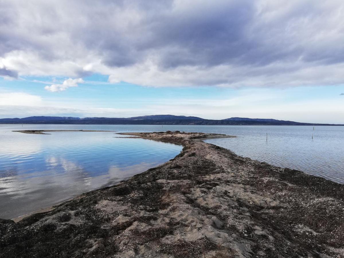 Appartement Cosy Sur La Presqu'Ile De Cap Coudalere Avec Piscine Ouverte Et Chauffee Le Barcarès Eksteriør bilde