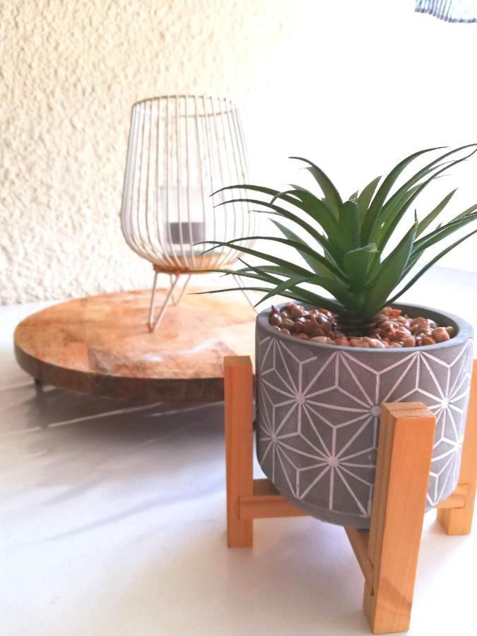 Appartement Cosy Sur La Presqu'Ile De Cap Coudalere Avec Piscine Ouverte Et Chauffee Le Barcarès Eksteriør bilde